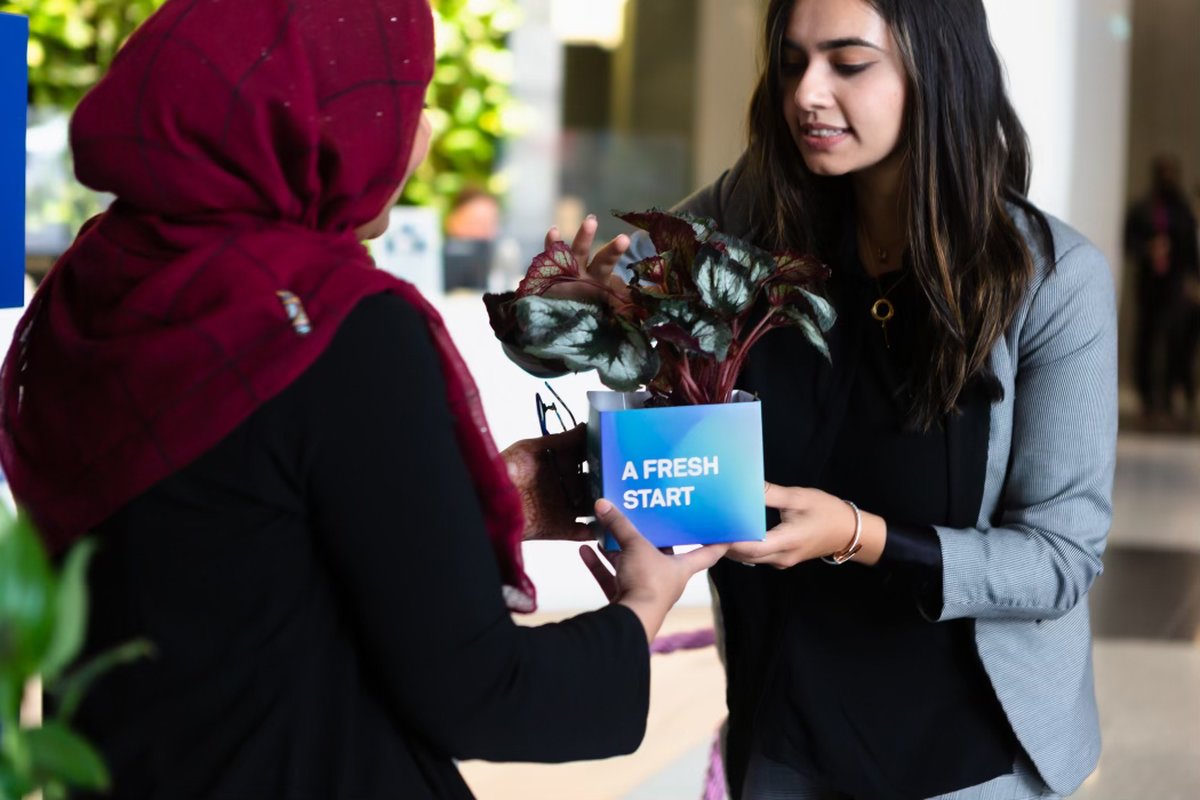 Telstra HQ: Spin & Connect Activation — 5