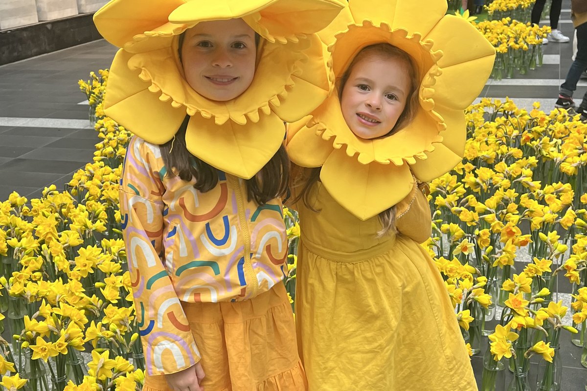 Daffodil Day: Activating Pride of Place — 2
